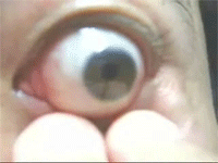 Bilder-Thread uh43048,1254391605,Eye Ball